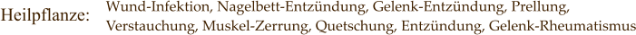 Wund-Infektion, Nagelbett-Entzündung, Gelenk-Entzündung, Prellung,  Verstauchung, Muskel-Zerrung, Quetschung, Entzündung, Gelenk-Rheumatismus Heilpflanze: