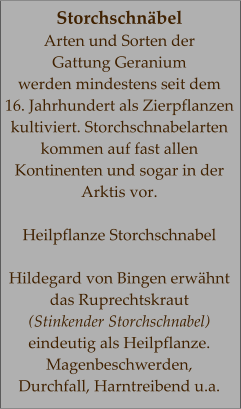 Storchschnäbel Arten und Sorten der  Gattung Geranium  werden mindestens seit dem  16. Jahrhundert als Zierpflanzen kultiviert. Storchschnabelarten kommen auf fast allen Kontinenten und sogar in der Arktis vor.  Heilpflanze Storchschnabel  Hildegard von Bingen erwähnt das Ruprechtskraut  (Stinkender Storchschnabel) eindeutig als Heilpflanze.  Magenbeschwerden, Durchfall, Harntreibend u.a.