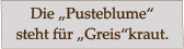 Die „Pusteblume“ steht für „Greis“kraut.
