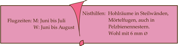 Nisthilfen:  Hohlräume in Steilwänden,                      Mörtelfugen, auch in                      Pelzbienennestern.                       Wohl mit 6 mm Ø Flugzeiten: M: Juni bis Juli                      W: Juni bis August
