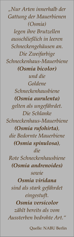 „Nur Arten innerhalb der Gattung der Mauerbienen (Osmia)  legen ihre Brutzellen ausschließlich in leeren Schneckengehäusen an.  Die Zweifarbige  Schneckenhaus-Mauerbiene  (Osmia bicolor) und die Goldene  Schneckenhausbiene  (Osmia aurulenta)  gelten als ungefährdet.  Die Schlanke  Schneckenhaus-Mauerbiene (Osmia rufohirta),  die Bedornte Mauerbiene  (Osmia spinulosa),  die  Rote Schneckenhausbiene (Osmia andrenoides)  sowie  Osmia viridana  sind als stark gefährdet eingestuft.  Osmia versicolor  zählt bereits als vom  Aussterben bedrohte Art.“  Quelle: NABU Berlin