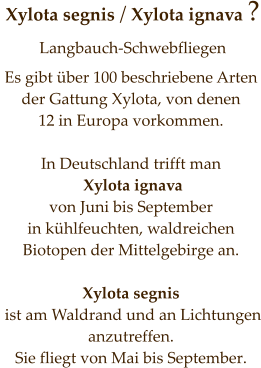 Xylota segnis / Xylota ignava ? Langbauch-Schwebfliegen      Es gibt über 100 beschriebene Arten der Gattung Xylota, von denen  12 in Europa vorkommen.   In Deutschland trifft man  Xylota ignava  von Juni bis September in kühlfeuchten, waldreichen Biotopen der Mittelgebirge an.   Xylota segnis  ist am Waldrand und an Lichtungen anzutreffen. Sie fliegt von Mai bis September.