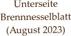 Unterseite Brennnesselblatt (August 2023)