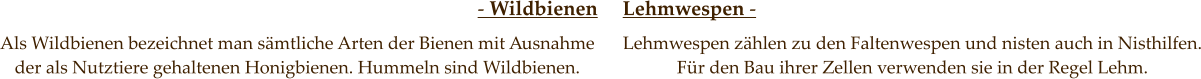 - Wildbienen     Lehmwespen -  Als Wildbienen bezeichnet man sämtliche Arten der Bienen mit Ausnahme der als Nutztiere gehaltenen Honigbienen. Hummeln sind Wildbienen.  Lehmwespen zählen zu den Faltenwespen und nisten auch in Nisthilfen. Für den Bau ihrer Zellen verwenden sie in der Regel Lehm.