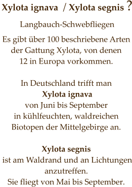 Xylota ignava  / Xylota segnis ? Langbauch-Schwebfliegen      Es gibt über 100 beschriebene Arten der Gattung Xylota, von denen  12 in Europa vorkommen.   In Deutschland trifft man  Xylota ignava  von Juni bis September in kühlfeuchten, waldreichen Biotopen der Mittelgebirge an.   Xylota segnis  ist am Waldrand und an Lichtungen anzutreffen. Sie fliegt von Mai bis September.