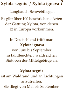 Xylota segnis  / Xylota ignava ? Langbauch-Schwebfliegen      Es gibt über 100 beschriebene Arten der Gattung Xylota, von denen  12 in Europa vorkommen.   In Deutschland trifft man  Xylota ignava  von Juni bis September in kühlfeuchten, waldreichen Biotopen der Mittelgebirge an.   Xylota segnis  ist am Waldrand und an Lichtungen anzutreffen. Sie fliegt von Mai bis September.