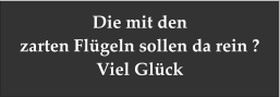 Die mit den   zarten Flügeln sollen da rein ? Viel Glück