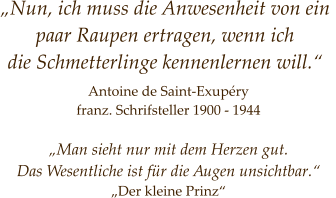 „Nun, ich muss die Anwesenheit von ein  paar Raupen ertragen, wenn ich  die Schmetterlinge kennenlernen will.“  Antoine de Saint-Exupéry franz. Schrifsteller 1900 - 1944  „Man sieht nur mit dem Herzen gut. Das Wesentliche ist für die Augen unsichtbar.“ „Der kleine Prinz“