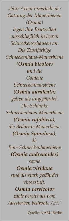 „Nur Arten innerhalb der Gattung der Mauerbienen (Osmia)  legen ihre Brutzellen ausschließlich in leeren Schneckengehäusen an.  Die Zweifarbige  Schneckenhaus-Mauerbiene  (Osmia bicolor) und die Goldene  Schneckenhausbiene  (Osmia aurulenta)  gelten als ungefährdet.  Die Schlanke  Schneckenhaus-Mauerbiene (Osmia rufohirta),  die Bedornte Mauerbiene  (Osmia Spinulosa),  die  Rote Schneckenhausbiene (Osmia andrenoides)  sowie  Osmia viridana  sind als stark gefährdet eingestuft.  Osmia versicolor  zählt bereits als vom  Aussterben bedrohte Art.“  Quelle: NABU Berlin