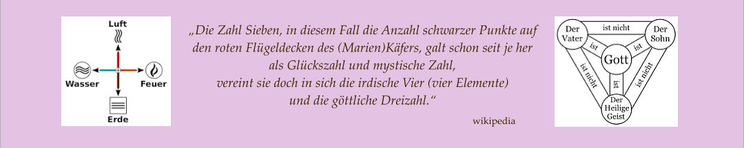 „Die Zahl Sieben, in diesem Fall die Anzahl schwarzer Punkte auf den roten Flügeldecken des (Marien)Käfers, galt schon seit je her als Glückszahl und mystische Zahl,  vereint sie doch in sich die irdische Vier (vier Elemente)  und die göttliche Dreizahl.“ wikipedia