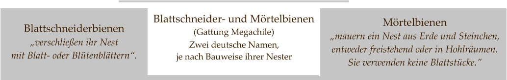 Zwei deutsche Namen,  je nach Bauweise ihrer Nester  Mörtelbienen  „mauern ein Nest aus Erde und Steinchen, entweder freistehend oder in Hohlräumen.  Sie verwenden keine Blattstücke.” Blattschneiderbienen „verschließen ihr Nest  mit Blatt- oder Blütenblättern“. Blattschneider- und Mörtelbienen (Gattung Megachile)